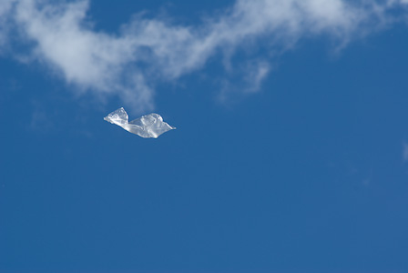 Plastic bag in the sky
